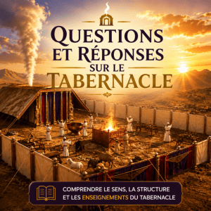 Signes de la fin des temps : comment le chrétien doit-il réagir ? Signes de la fin des temps : comment le chrétien doit-il réagir ?